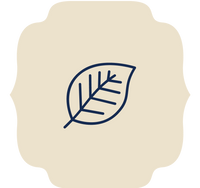 Occasion Icon